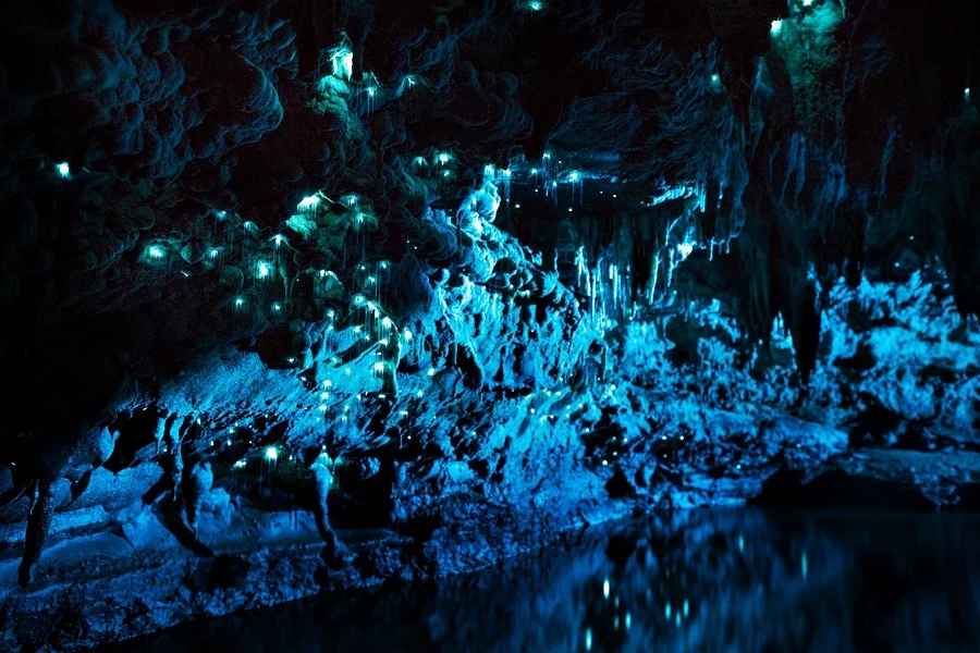 Cuevas de Waitomo, cuevas, lugares más bellos del mundo, naturaleza salvaje 4